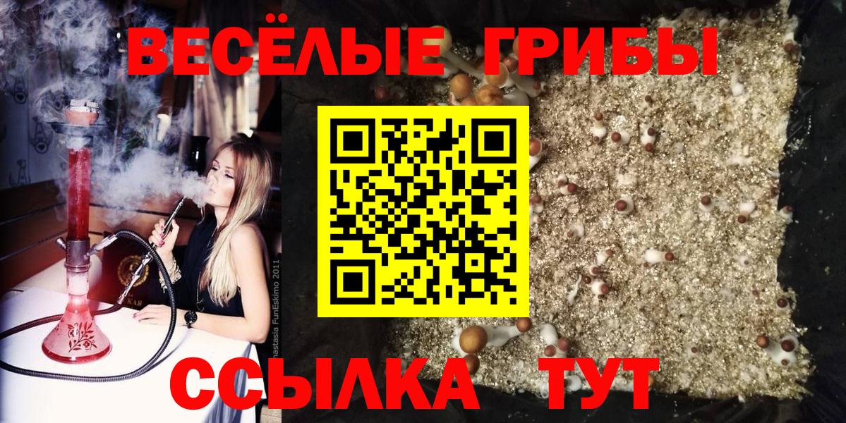 Галлюциногенные грибы Psilocybine cubensis  Псилоцибиновые грибы Cubensis  Вход с VPN  Строитель 