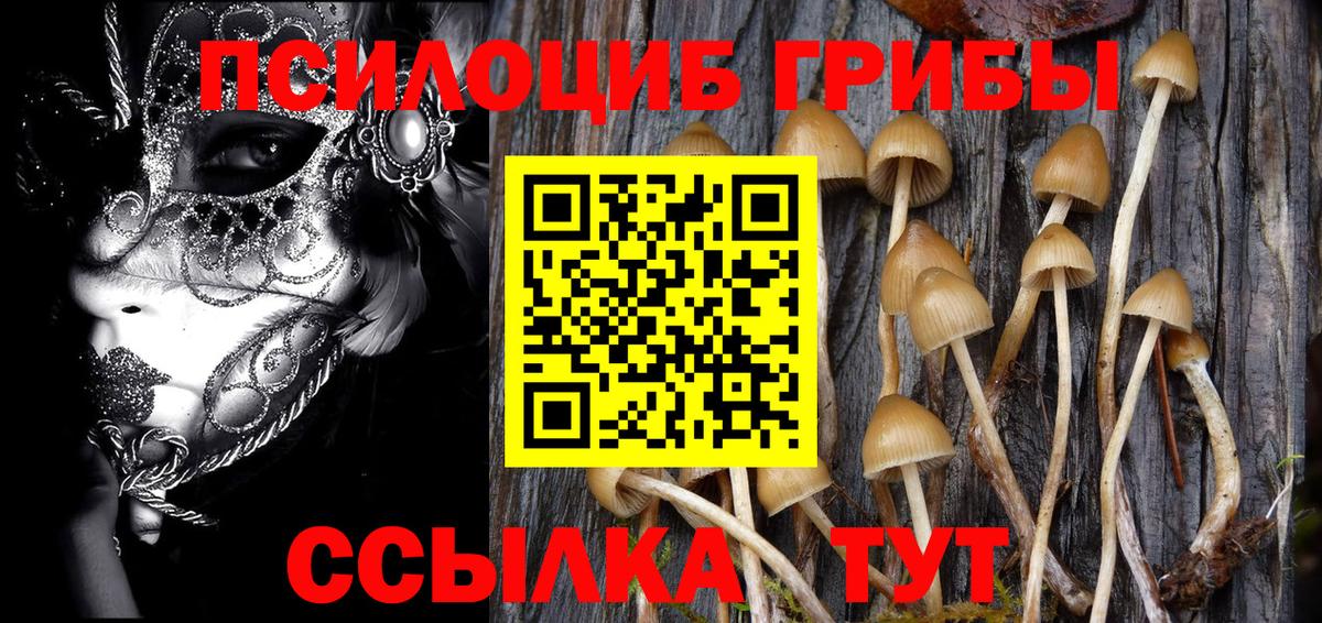 Псилоцибиновые грибы Psilocybe Строитель